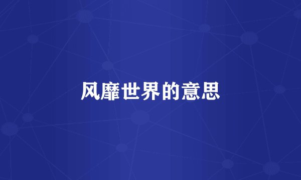 风靡世界的意思