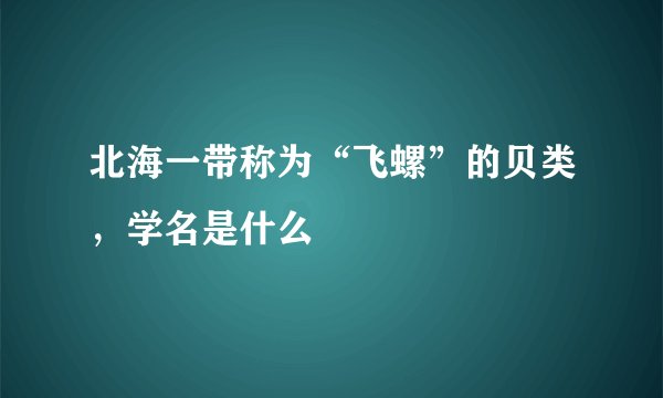 北海一带称为“飞螺”的贝类，学名是什么
