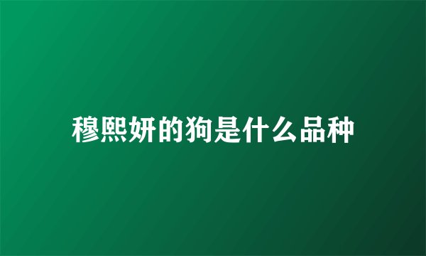 穆熙妍的狗是什么品种