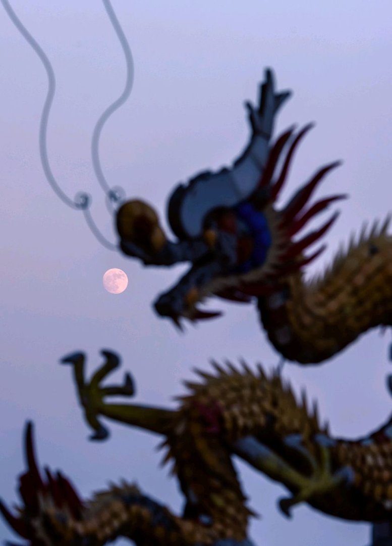 天之骄子是什么生肖？