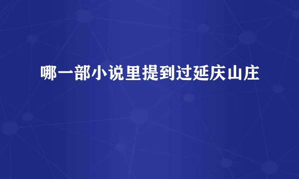 哪一部小说里提到过延庆山庄