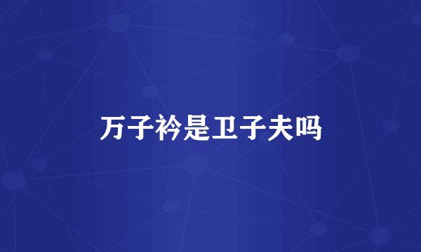 万子衿是卫子夫吗