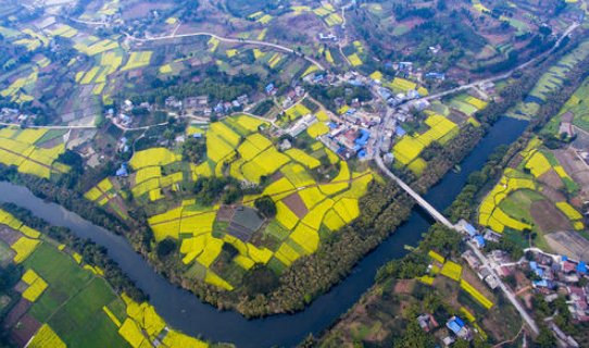 春天的故事的含义是什么？