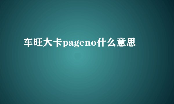车旺大卡pageno什么意思