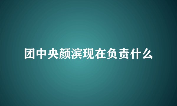 团中央颜滨现在负责什么