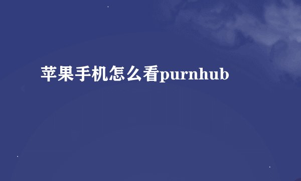 苹果手机怎么看purnhub
