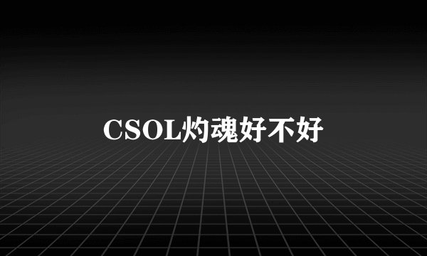 CSOL灼魂好不好