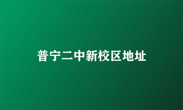 普宁二中新校区地址