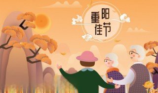 9月9日是什么节日（农历的9月9日是什么节日）