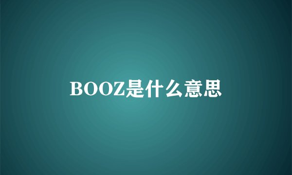 BOOZ是什么意思