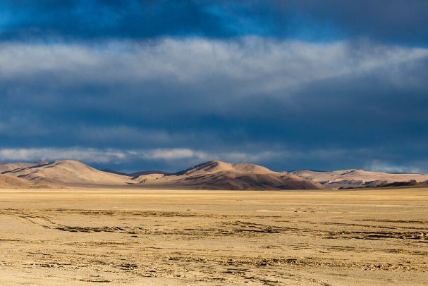 78无人区乱码一二三四区别