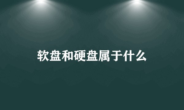 软盘和硬盘属于什么