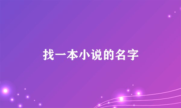 找一本小说的名字