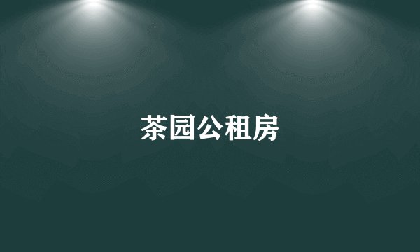 茶园公租房