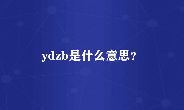 ydzb是什么意思？