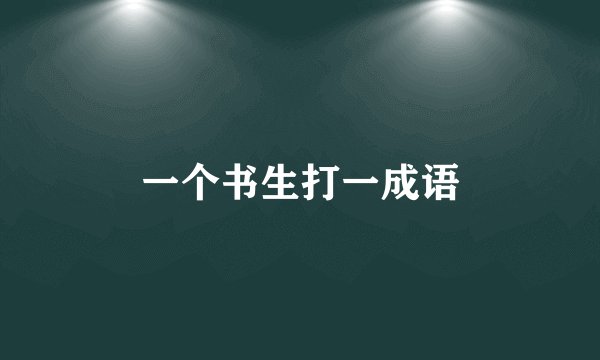 一个书生打一成语