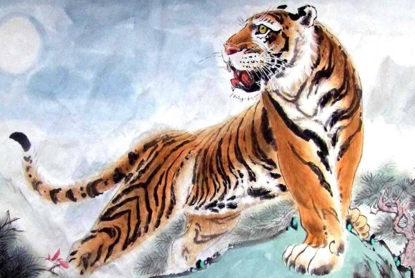 强者反己打一个正确生肖