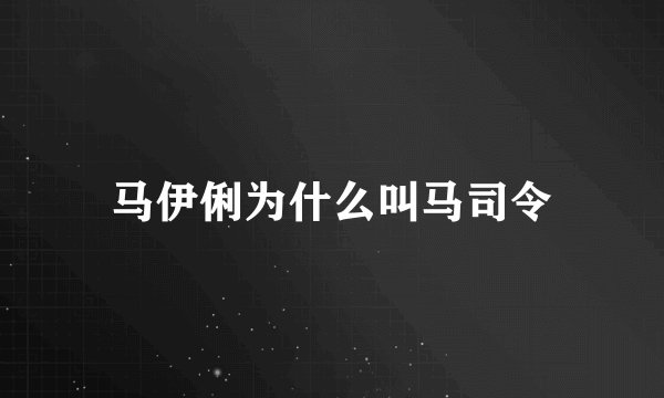 马伊俐为什么叫马司令