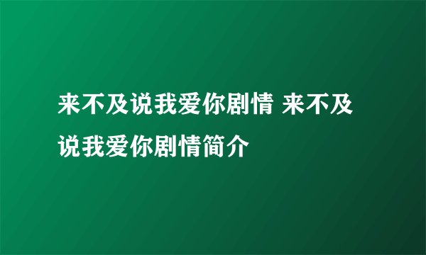 来不及说我爱你剧情 来不及说我爱你剧情简介