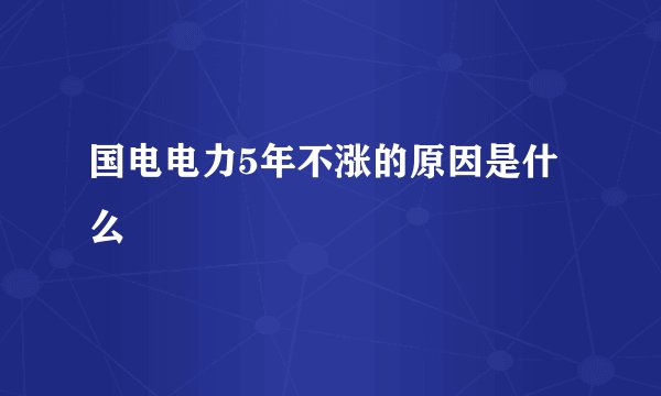 国电电力5年不涨的原因是什么