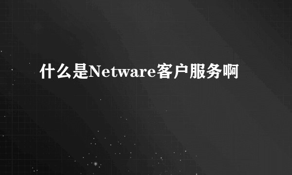 什么是Netware客户服务啊