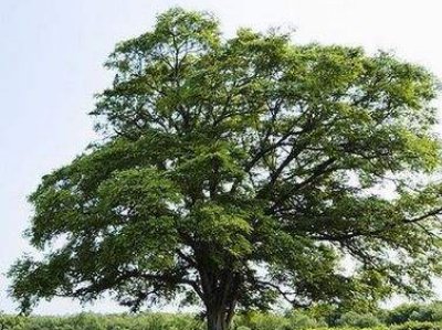 南和北怎么分辩？