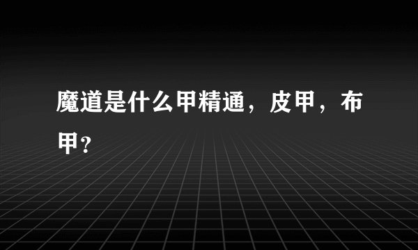 魔道是什么甲精通，皮甲，布甲？