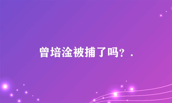 曾培淦被捕了吗？.