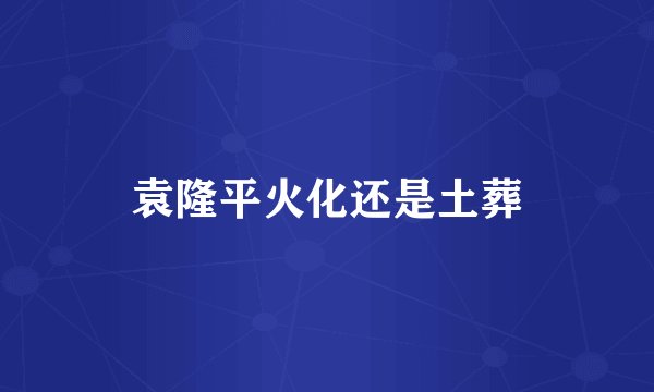 袁隆平火化还是土葬