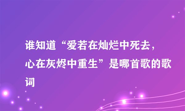 谁知道“爱若在灿烂中死去，心在灰烬中重生”是哪首歌的歌词