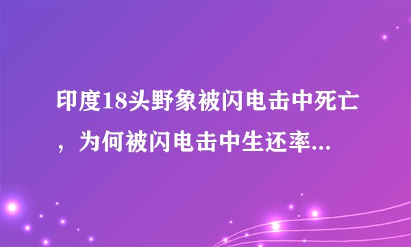 印度18头野象被闪电击中死亡，为何被闪电击中生还率几乎为零？