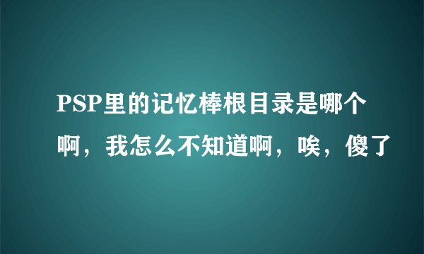 PSP里的记忆棒根目录是哪个啊，我怎么不知道啊，唉，傻了