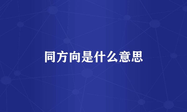 同方向是什么意思