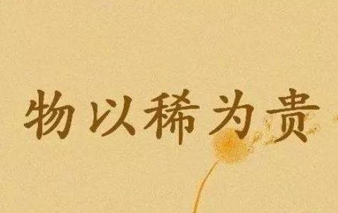 物以稀为贵爱以诚为主什么意思