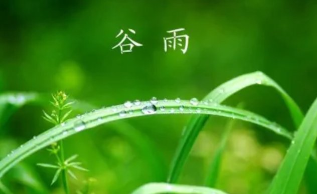 谷雨过后再无寒，人间芳菲已向暖的意思是什么？
