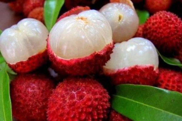 古人云,若离本枝,一日色变,三日味变是指哪种不易保存的水果