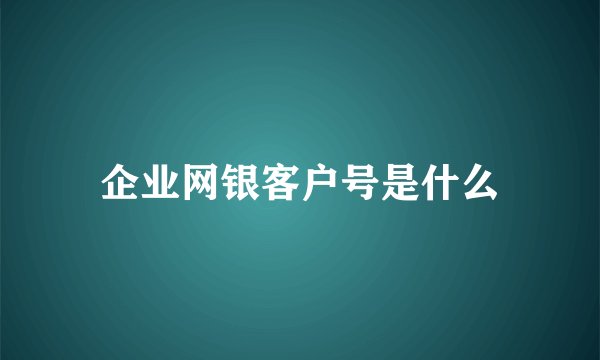 企业网银客户号是什么