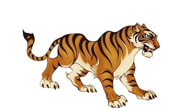 软硬不吃解一生肖