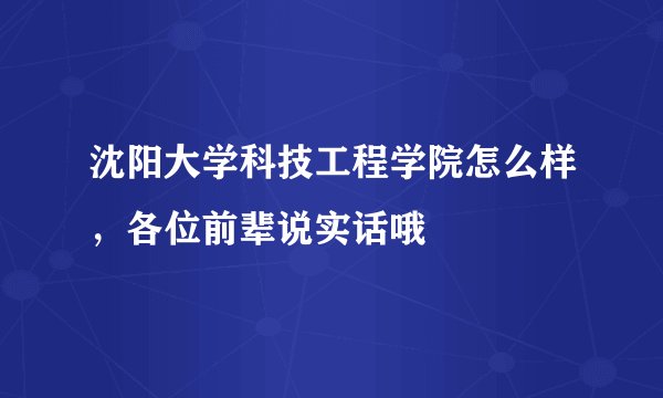 沈阳大学科技工程学院怎么样，各位前辈说实话哦