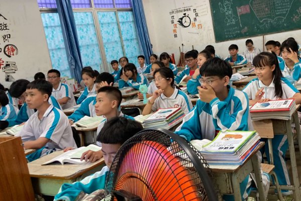 喜闻乐见是什么生肖,最新专业解答落实