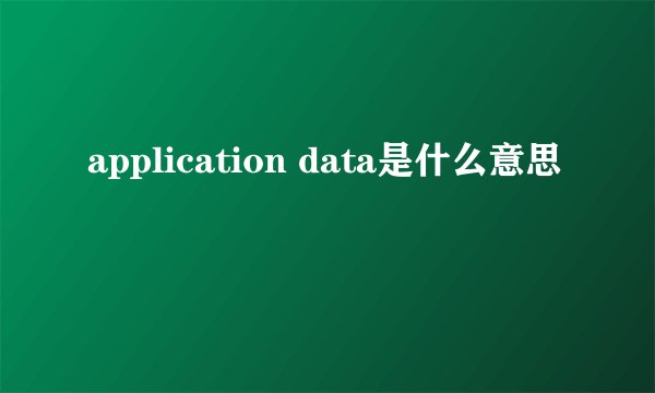application data是什么意思