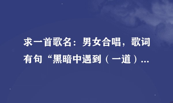 求一首歌名：男女合唱，歌词有句“黑暗中遇到（一道）曙光”或“黑暗中遇到一束光”，男的声音有点像黎明