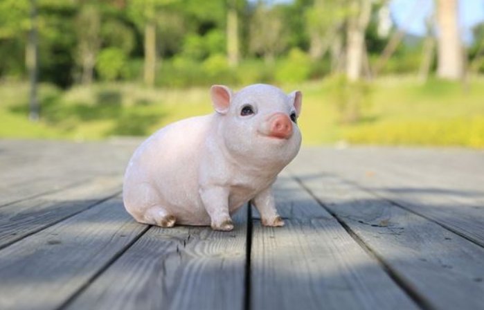 治乱扶危指什么生肖和动物