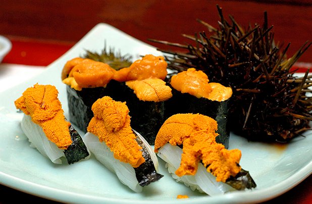 北海道9成海胆死亡空壳遍布海滩，造成海胆死亡的原因是什么？