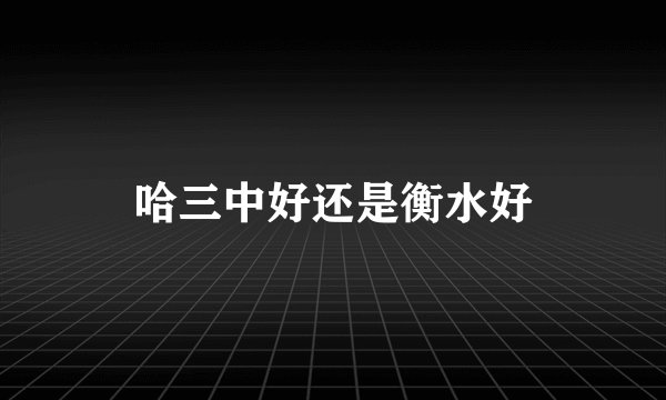 哈三中好还是衡水好