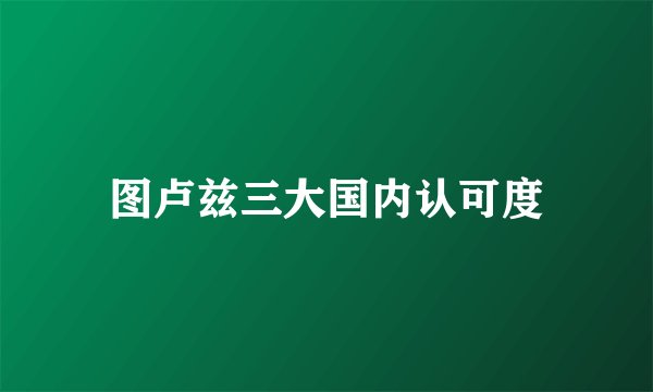 图卢兹三大国内认可度