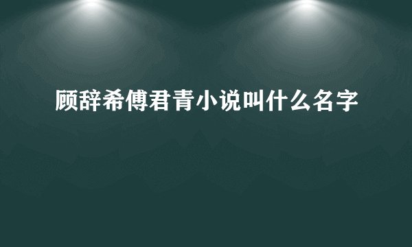 顾辞希傅君青小说叫什么名字
