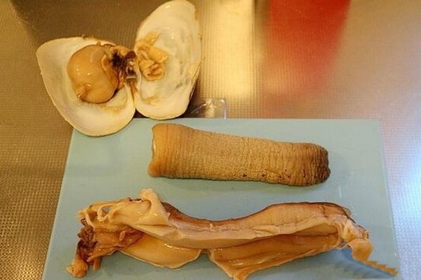 象拔蚌可以生吃吗 吃这种海鲜要注意的事项