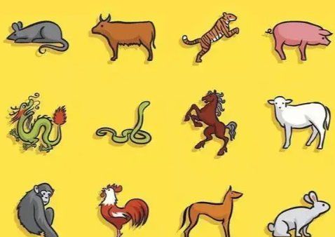 扇风点火指一生肖