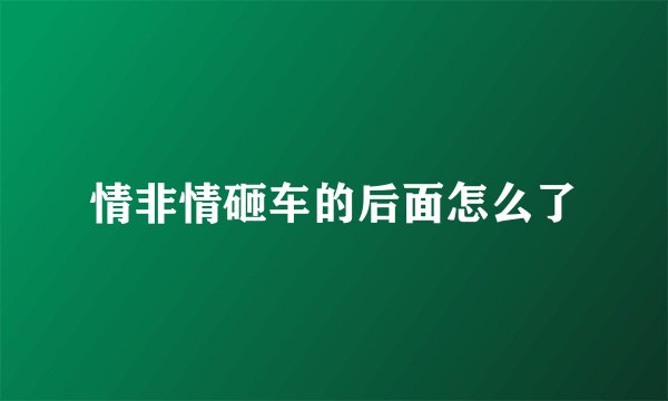 情非情砸车的后面怎么了